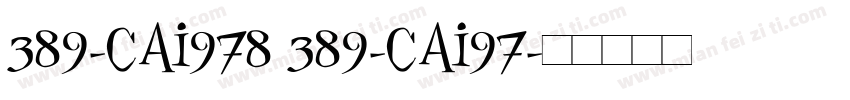389-CAI978 389-CAI97字体转换